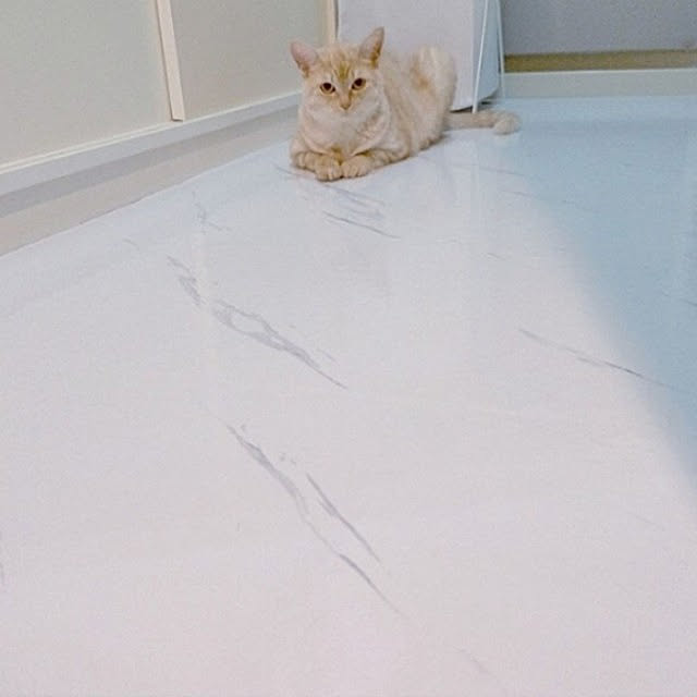 heart.emiemi57.whiteさんの実例写真