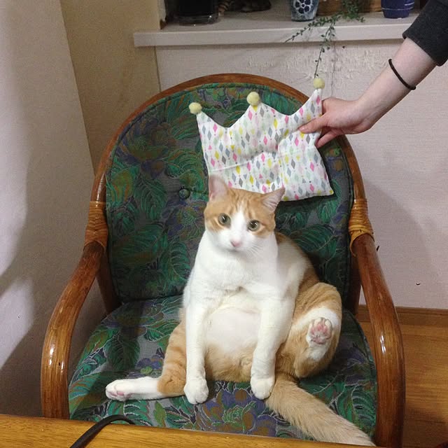 Kinanさんの実例写真