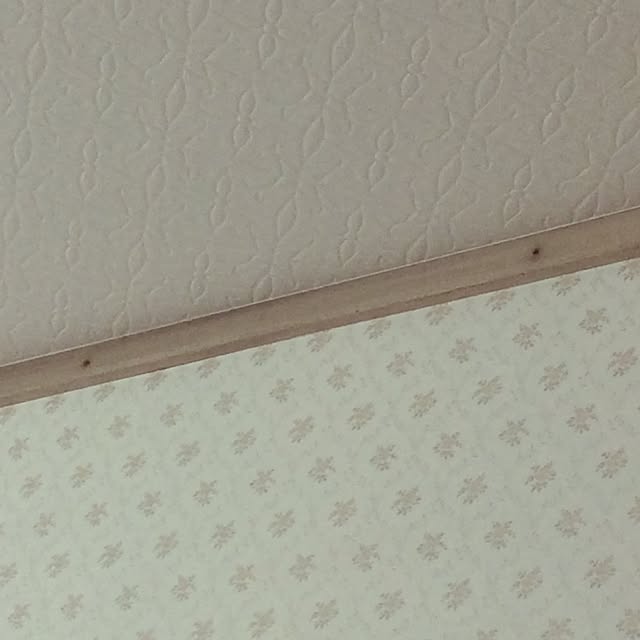 Kaorukoさんの実例写真