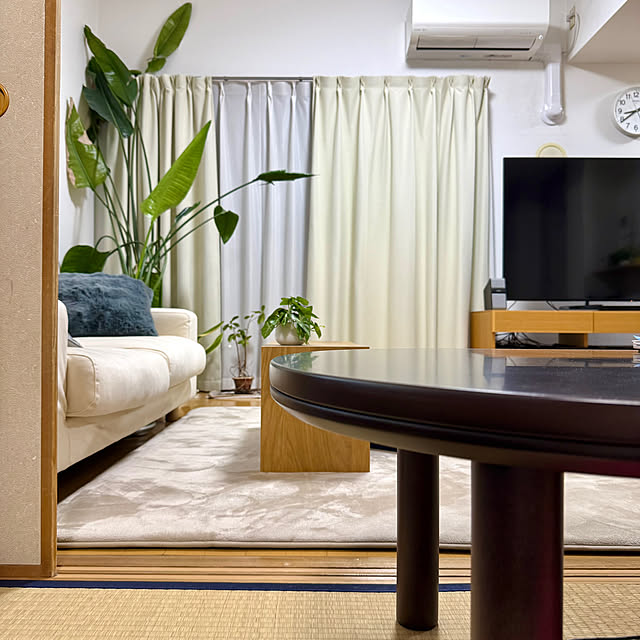 sakura-51さんの実例写真