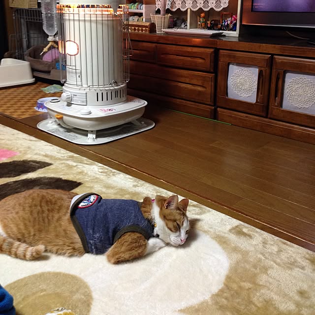 kanmiさんの実例写真
