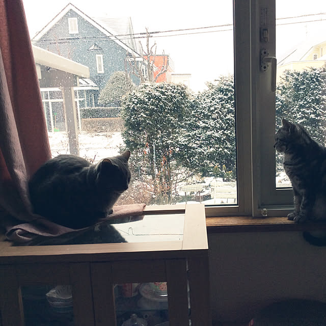 momokiriさんの実例写真