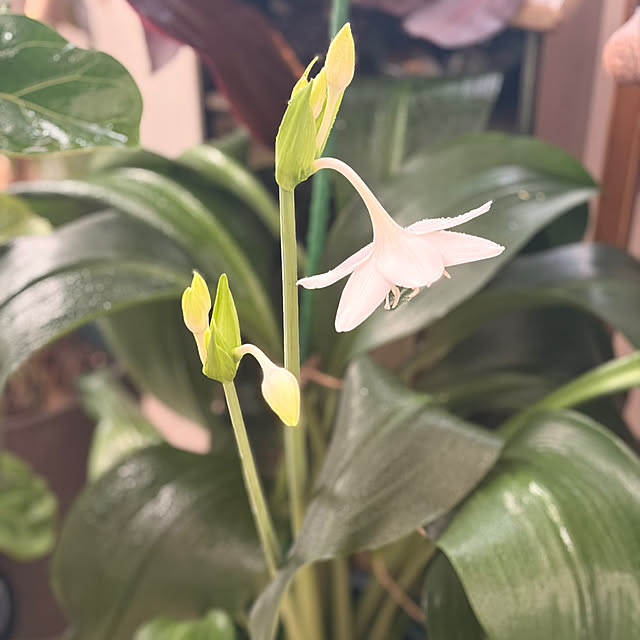 calmeさんの実例写真