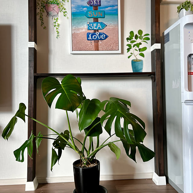 kananaさんの実例写真