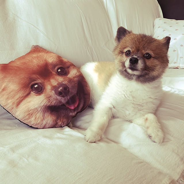 miさんの実例写真