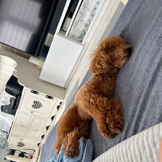makiさんの実例写真