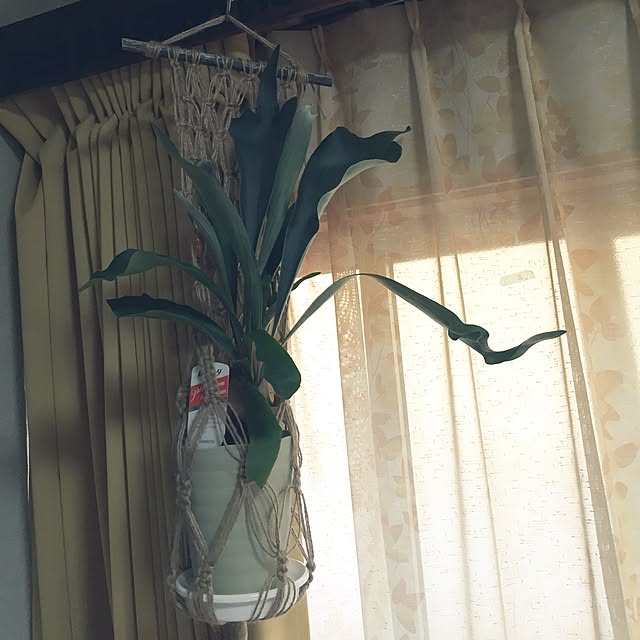 Fumiさんの実例写真