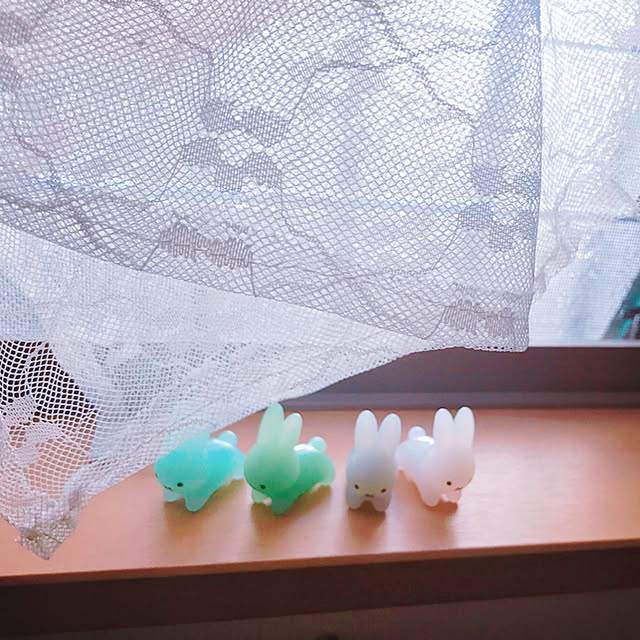 portulacaさんの実例写真