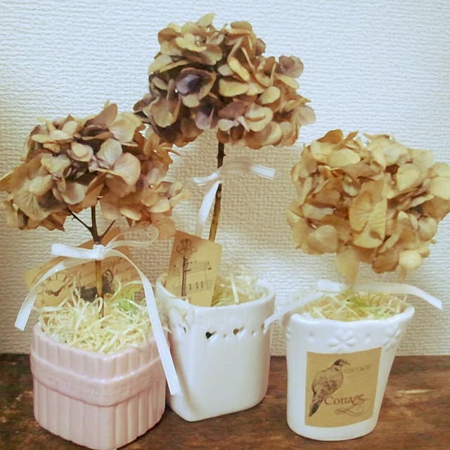 Kumikoさんの実例写真