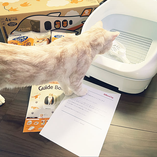aikaさんの実例写真
