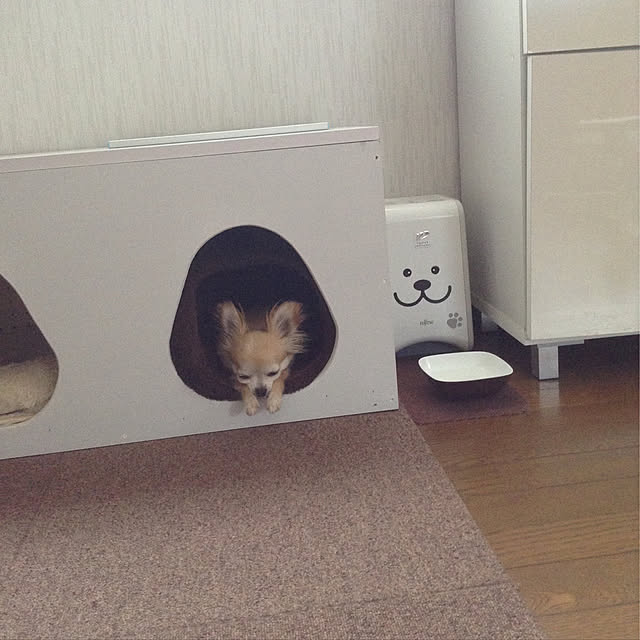 splush1219さんの実例写真