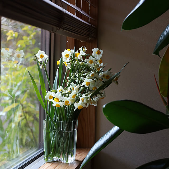 sugomoliさんの部屋