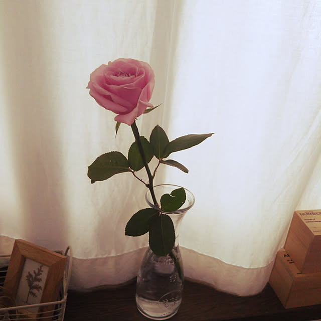 juin21さんの実例写真