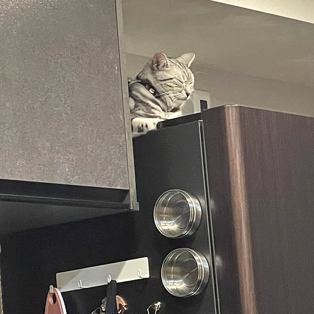 haruさんの実例写真