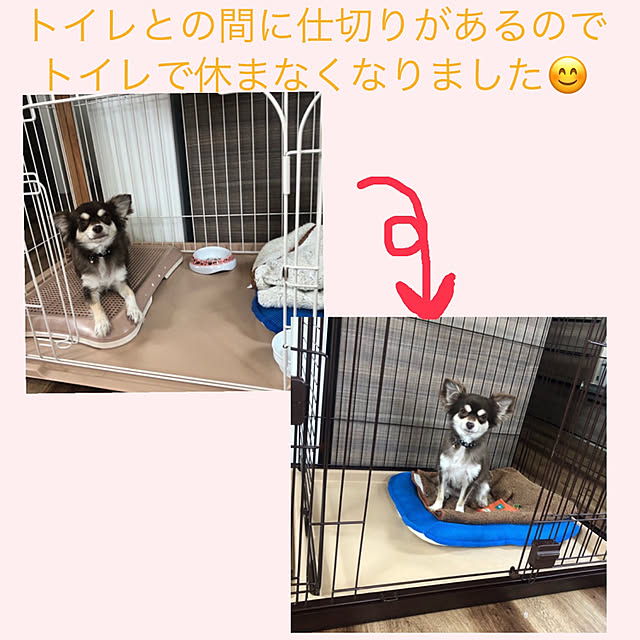 happy129さんの実例写真