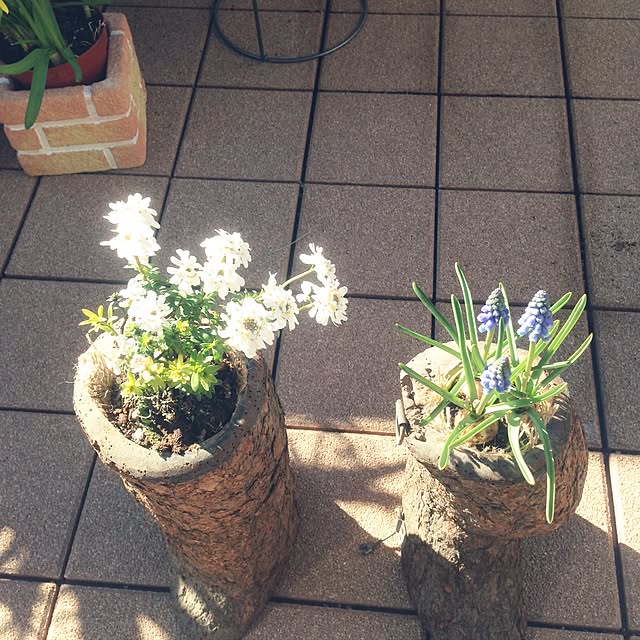 Yasuoさんの実例写真
