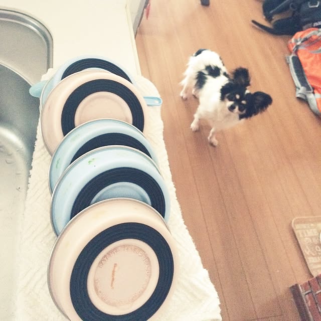 Mayさんの実例写真