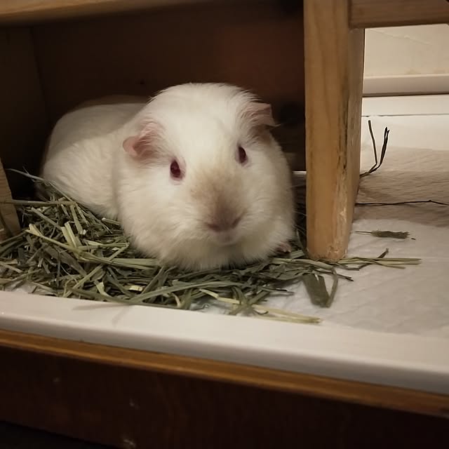 roomicさんの部屋