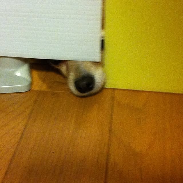 namiさんの実例写真