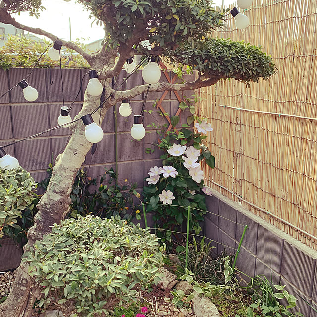 lethe79さんの実例写真