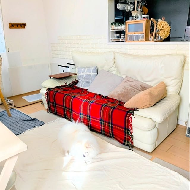 tilolさんの実例写真