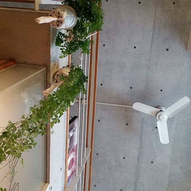 naoさんの実例写真