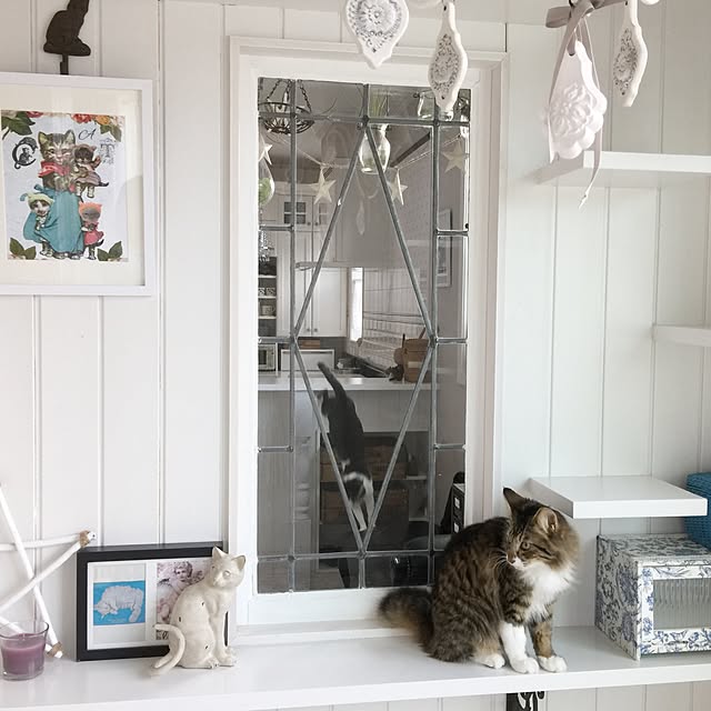 yuchiさんの実例写真