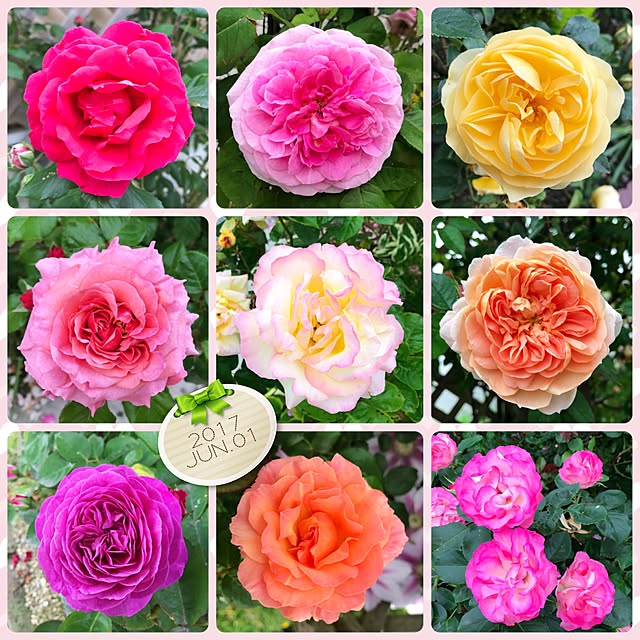 HappyRoseさんの実例写真