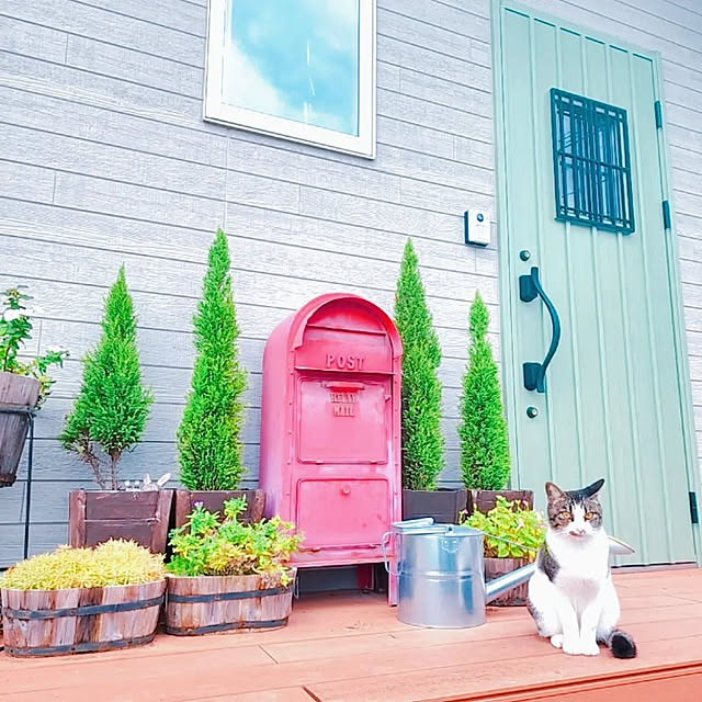 saさんの実例写真