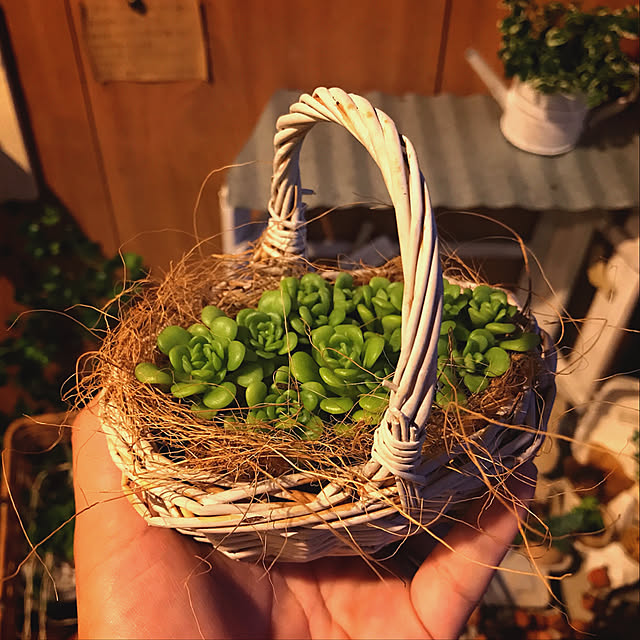 coraruさんの実例写真
