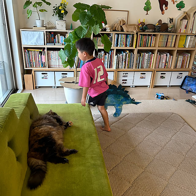 mikomaruさんの部屋