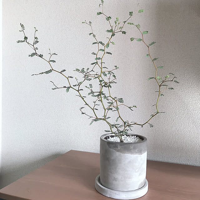 magochi_03さんの実例写真