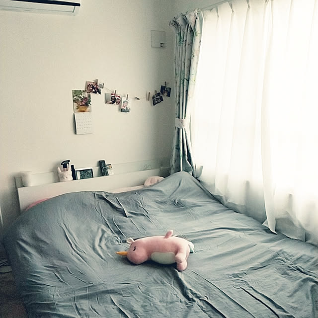 shizukuさんの実例写真