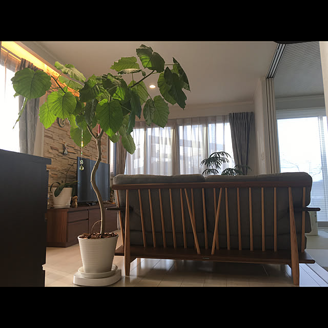 tigerさんの実例写真