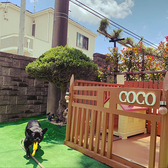 the.shooterさんの実例写真