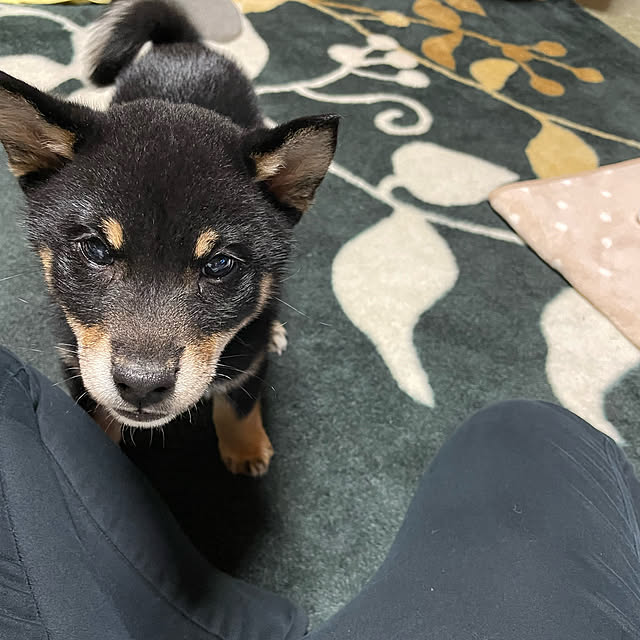 makiさんの実例写真