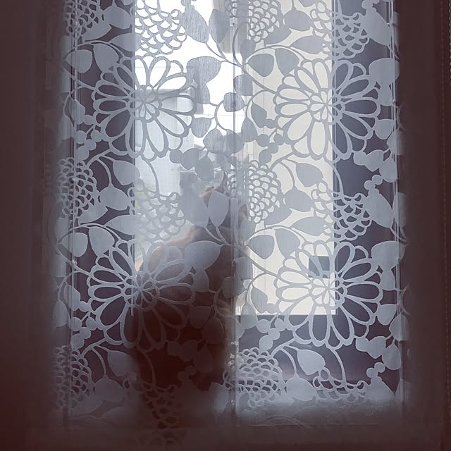 maributaさんの実例写真
