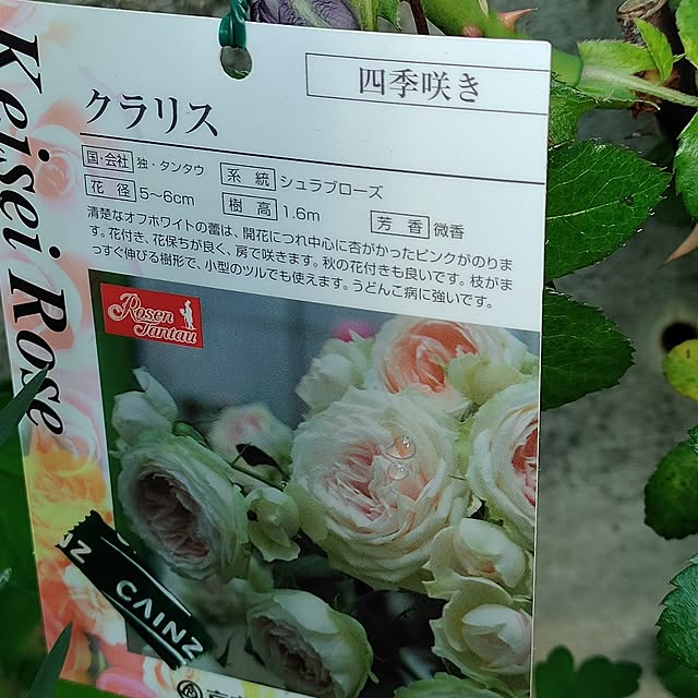 kiraさんの部屋