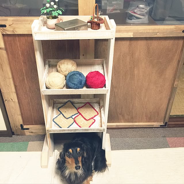 urucotoさんの実例写真