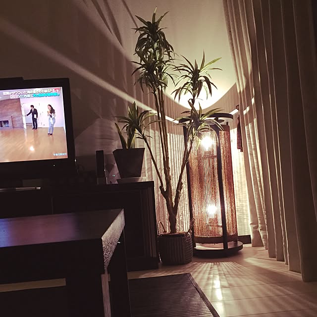 renaさんの実例写真