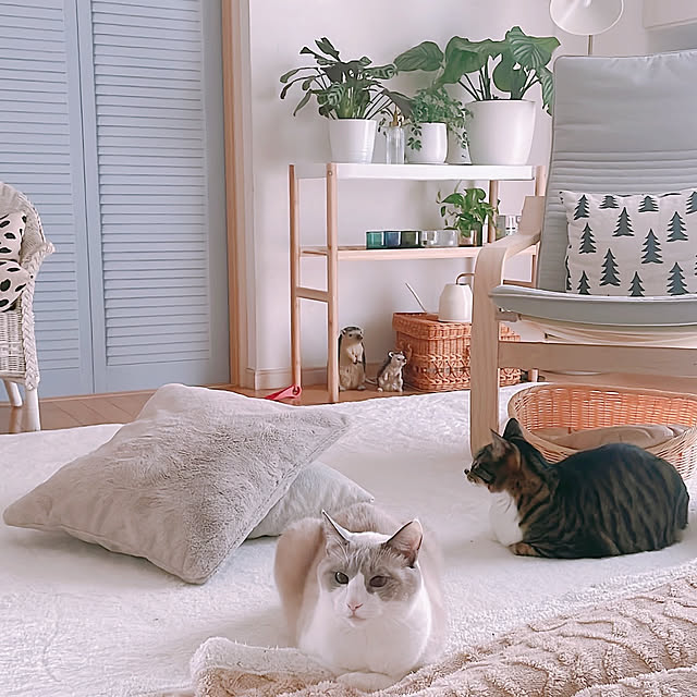 milkcocoaさんの実例写真