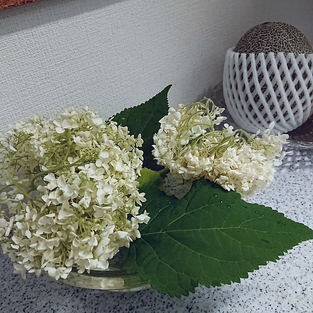 hopkeiさんの実例写真