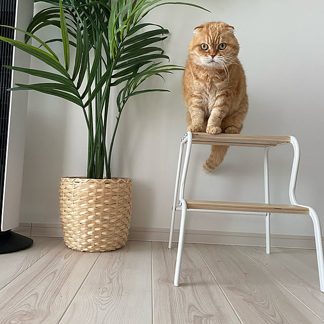Mahoさんの実例写真