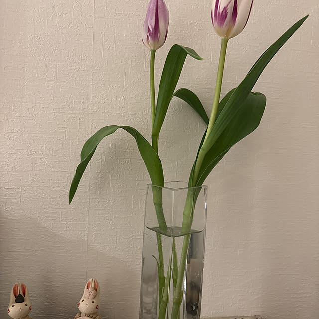 yayhk324さんの部屋