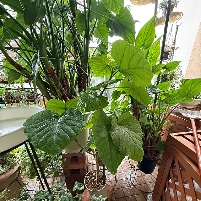 Aqettyさんの部屋
