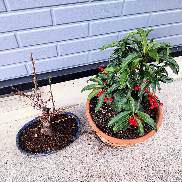 NSDさんの実例写真