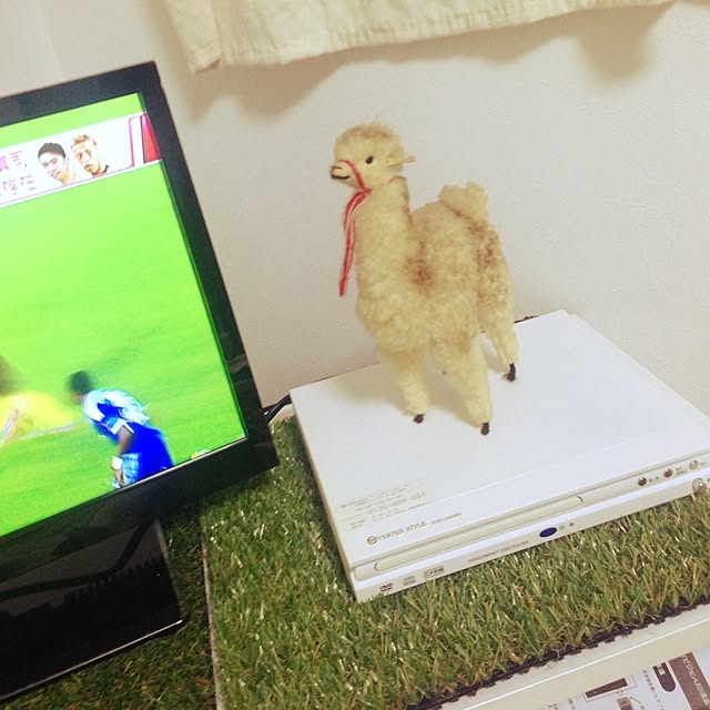 Emiさんの実例写真
