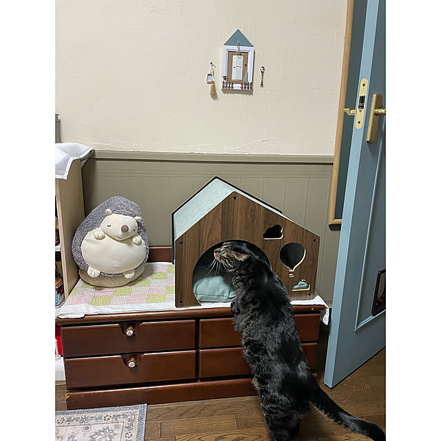 momocchiさんの実例写真