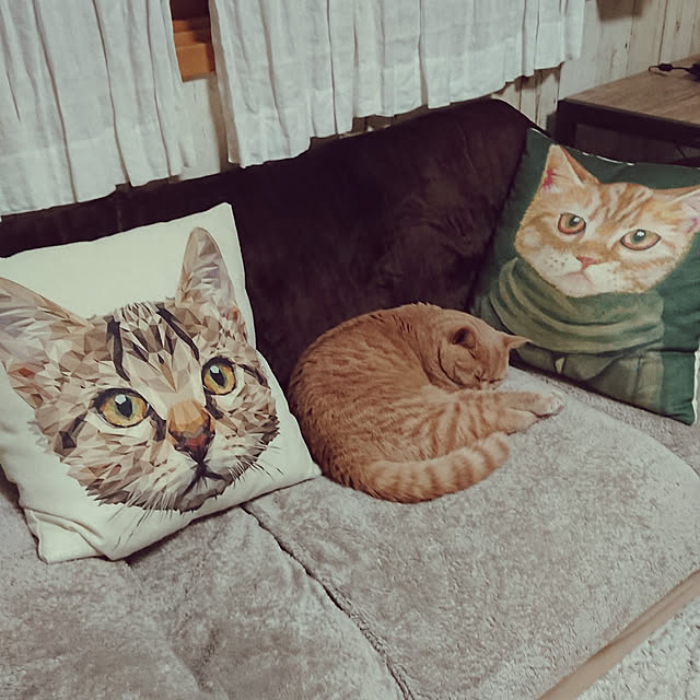 noritamaさんの実例写真