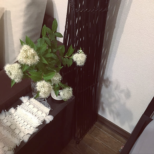 Ray.mさんの実例写真